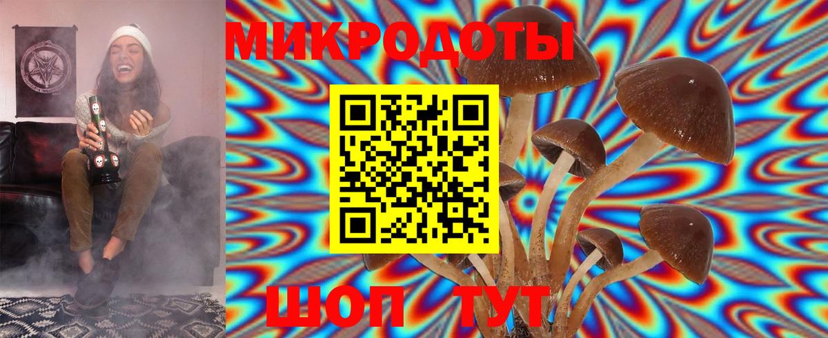 Галлюциногенные грибы Psilocybine cubensis  Вход с VPN  Лесной 
