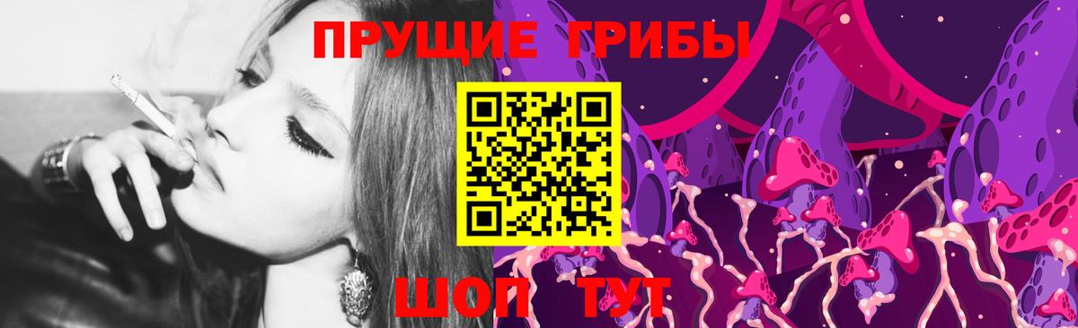 Галлюциногенные грибы ЛСД Лесной